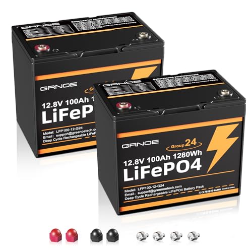 2-Pack 12V 100Ah LiFePO4 Automotive Batteries, 100A BMS Each, Group 24 L96460