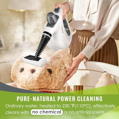 Pressurized Handheld Multi-Surface Natural Steam Cleaner with 12 pcs Accessories D7611