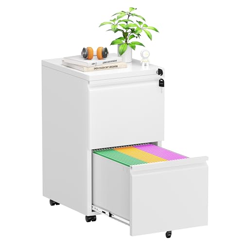 White 2 Drawer Metal Rolling File Cabinet with Lock F33074