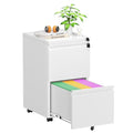 White 2 Drawer Metal Rolling File Cabinet with Lock F33074