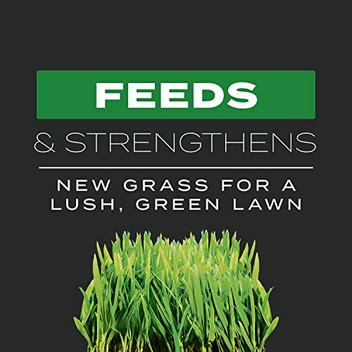 17.2 lbs. Turf Builder Fertilizer U8484