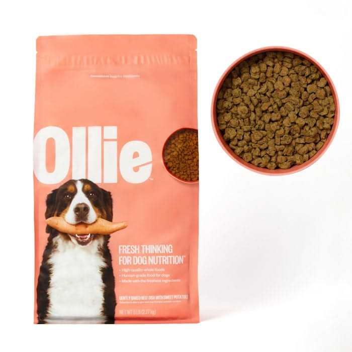 Beef Dish with Sweet Potatoes Dry Dog Food G608951