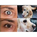 2 x 10ml Eye Drops R4408