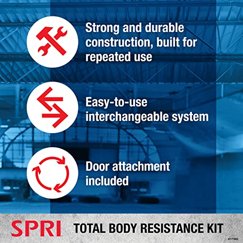 Resistance Band Kit with 5 Exercise Bands, Ankle/Wrist Strap, Padded Handles, Door Anchor, Carry Bag B205