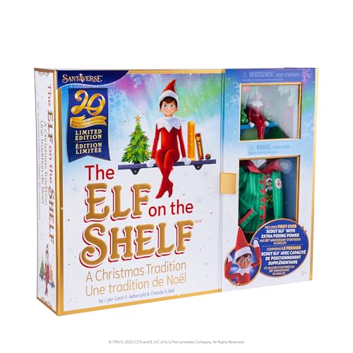 Boy with Blue Eyes Posable Christmas Elf and Storybook P24277