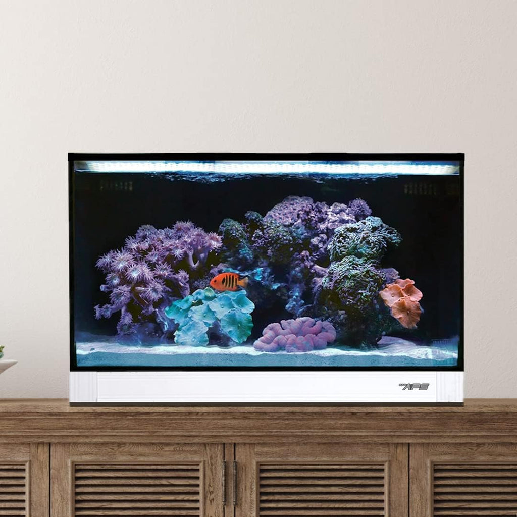 White 20 Gallon All in One Aquarium J12117