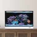 White 20 Gallon All in One Aquarium J12117