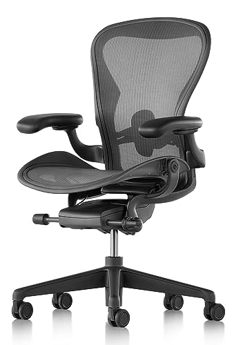 Graphite Ergonomic Office Desk Chair V694793