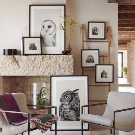 Owl Prints Small V558743