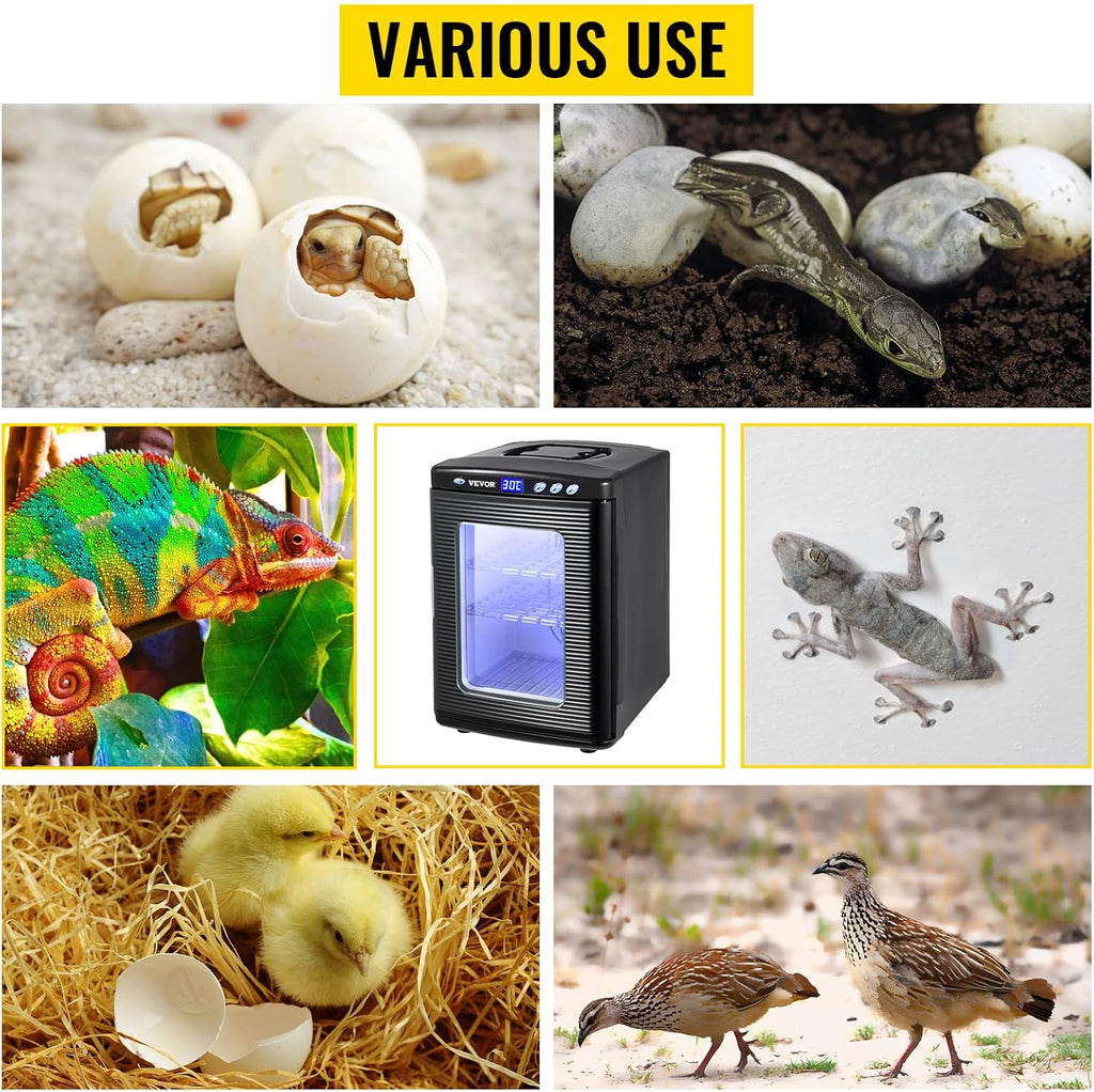 25L Black Reptile Egg Incubator 5-60°C Digital Display D49286