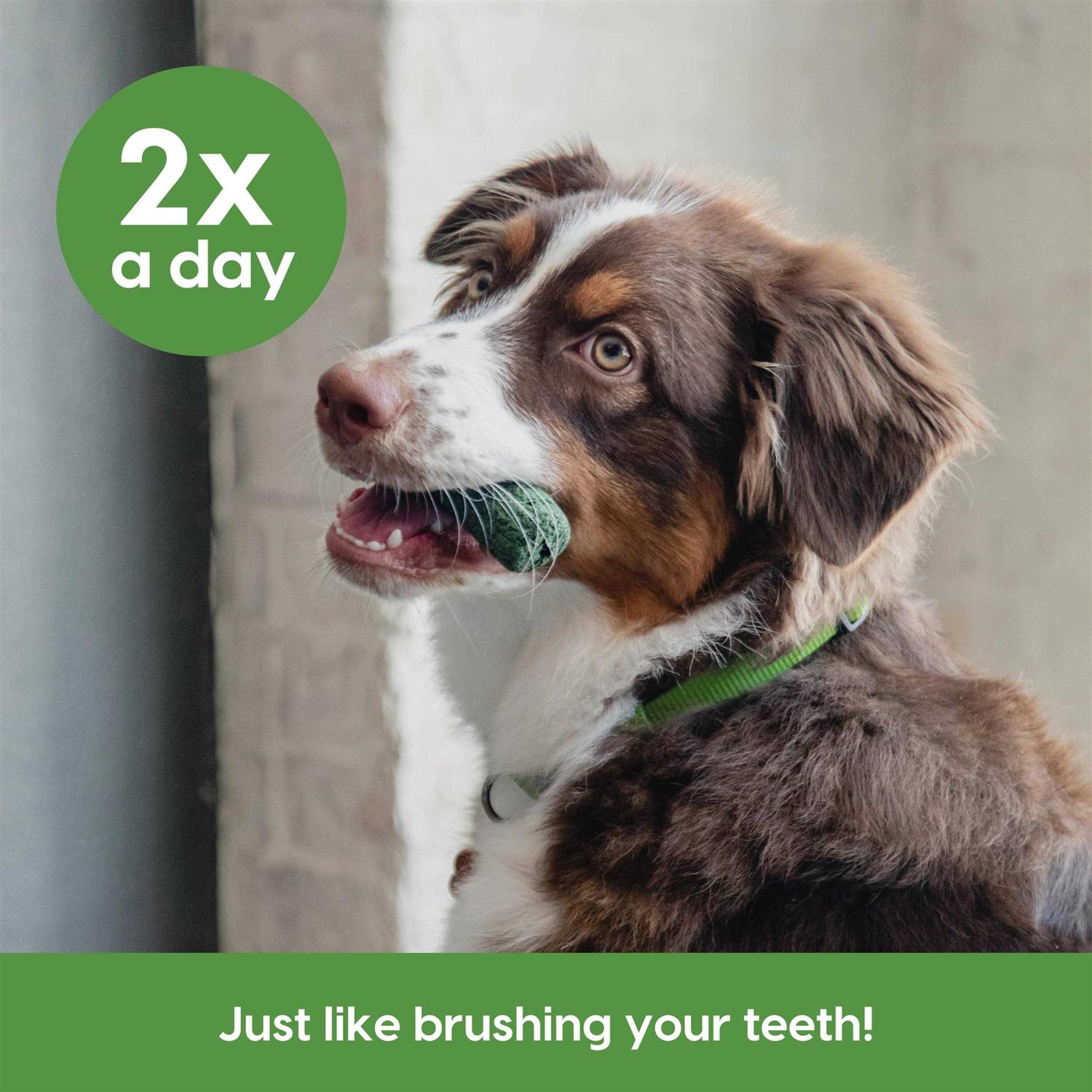 Sensitive Gums Brushless Toothpaste Z68729