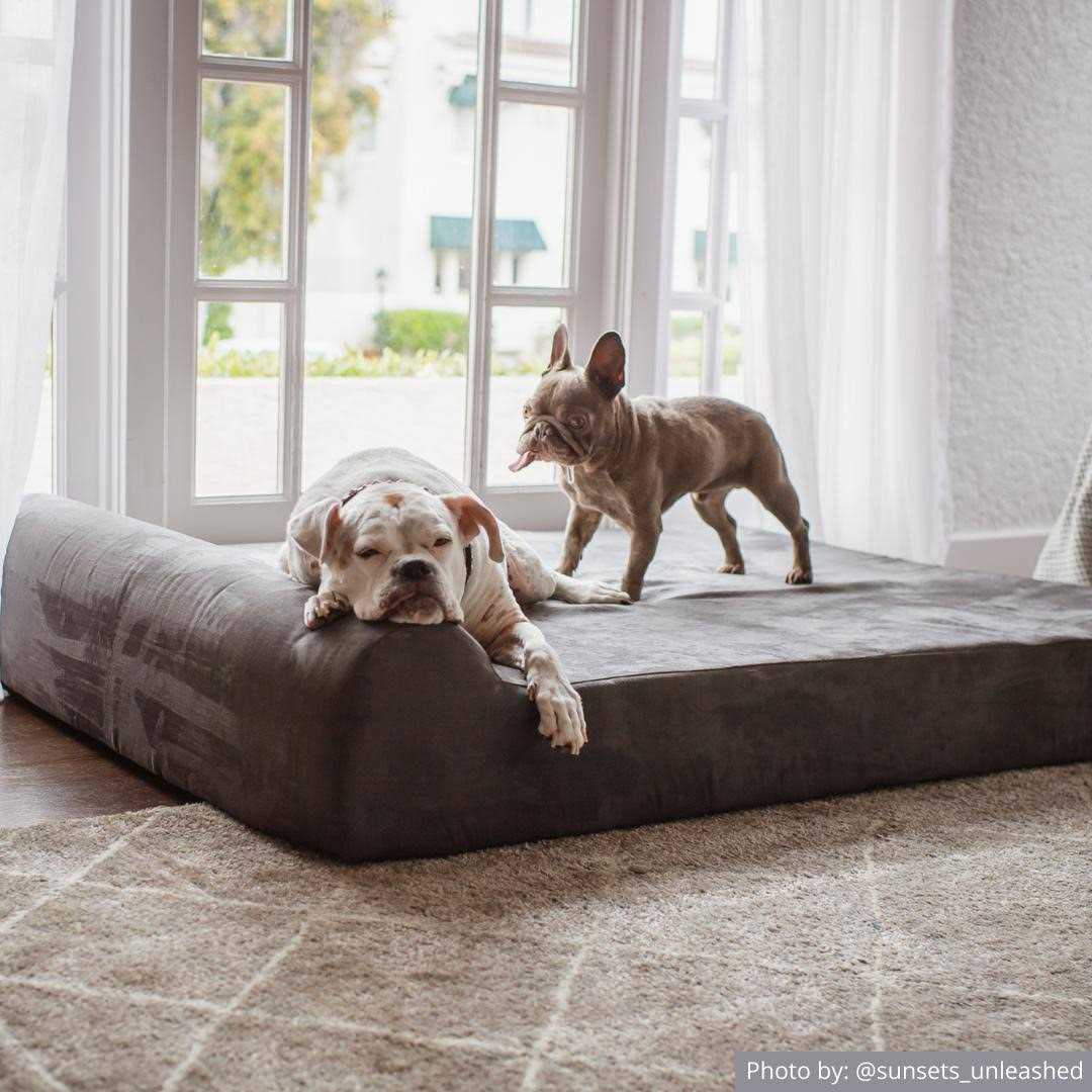 Orthopedic Dog Bed with Headrest Pillow Top U159589