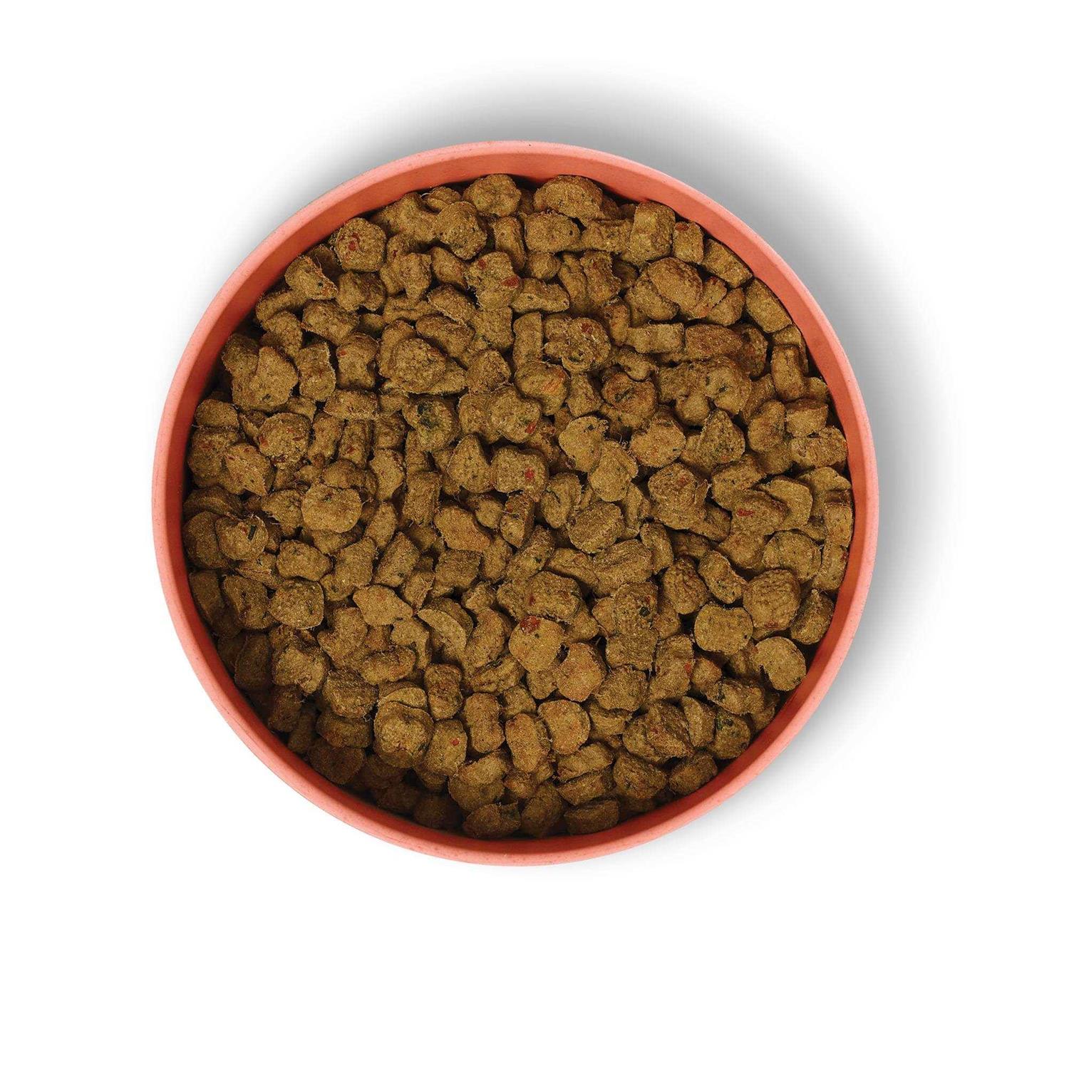 Beef Dish with Sweet Potatoes Dry Dog Food G608951