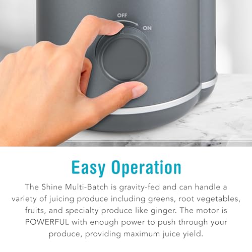 Juicer Q4982