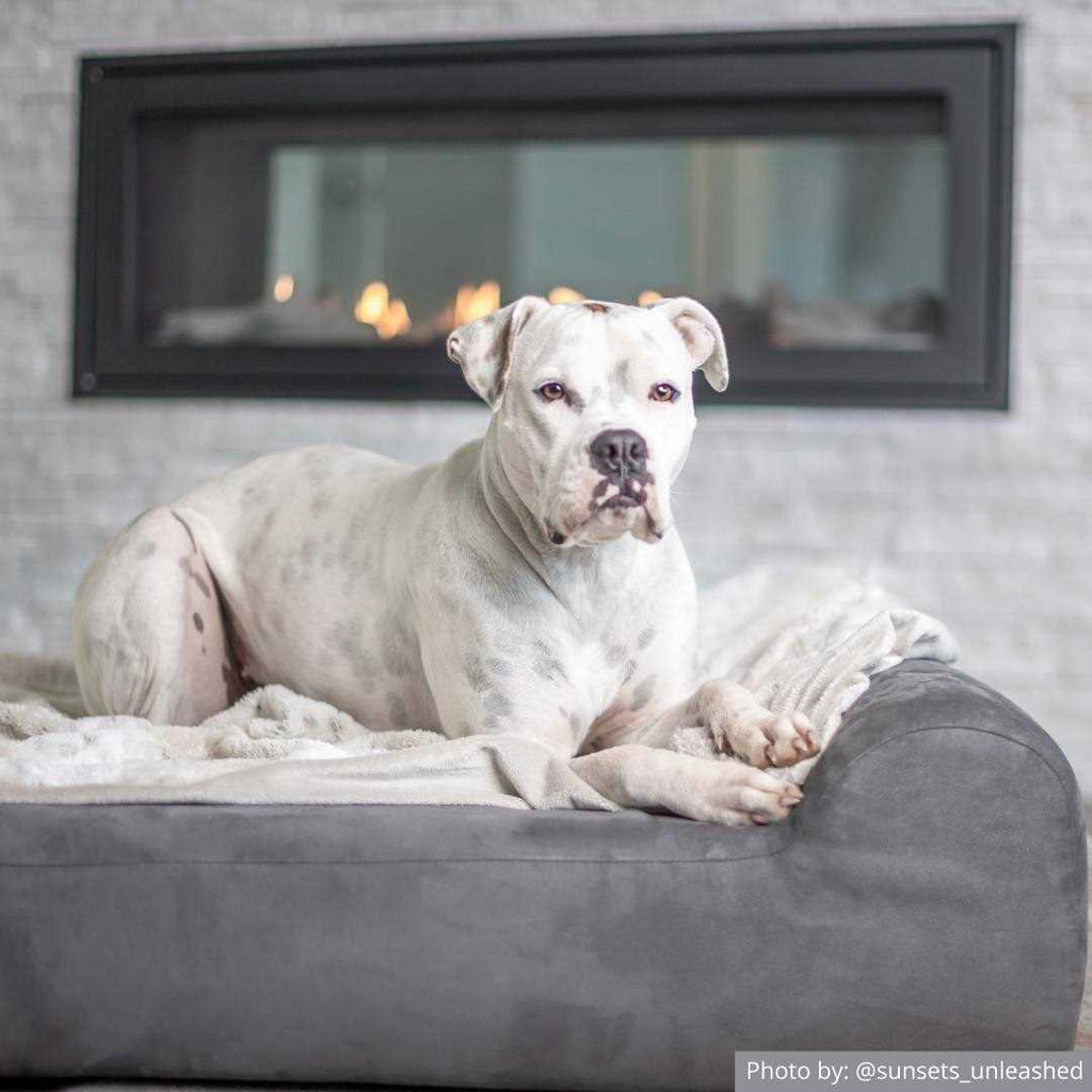 Orthopedic Dog Bed with Headrest Pillow Top U159589