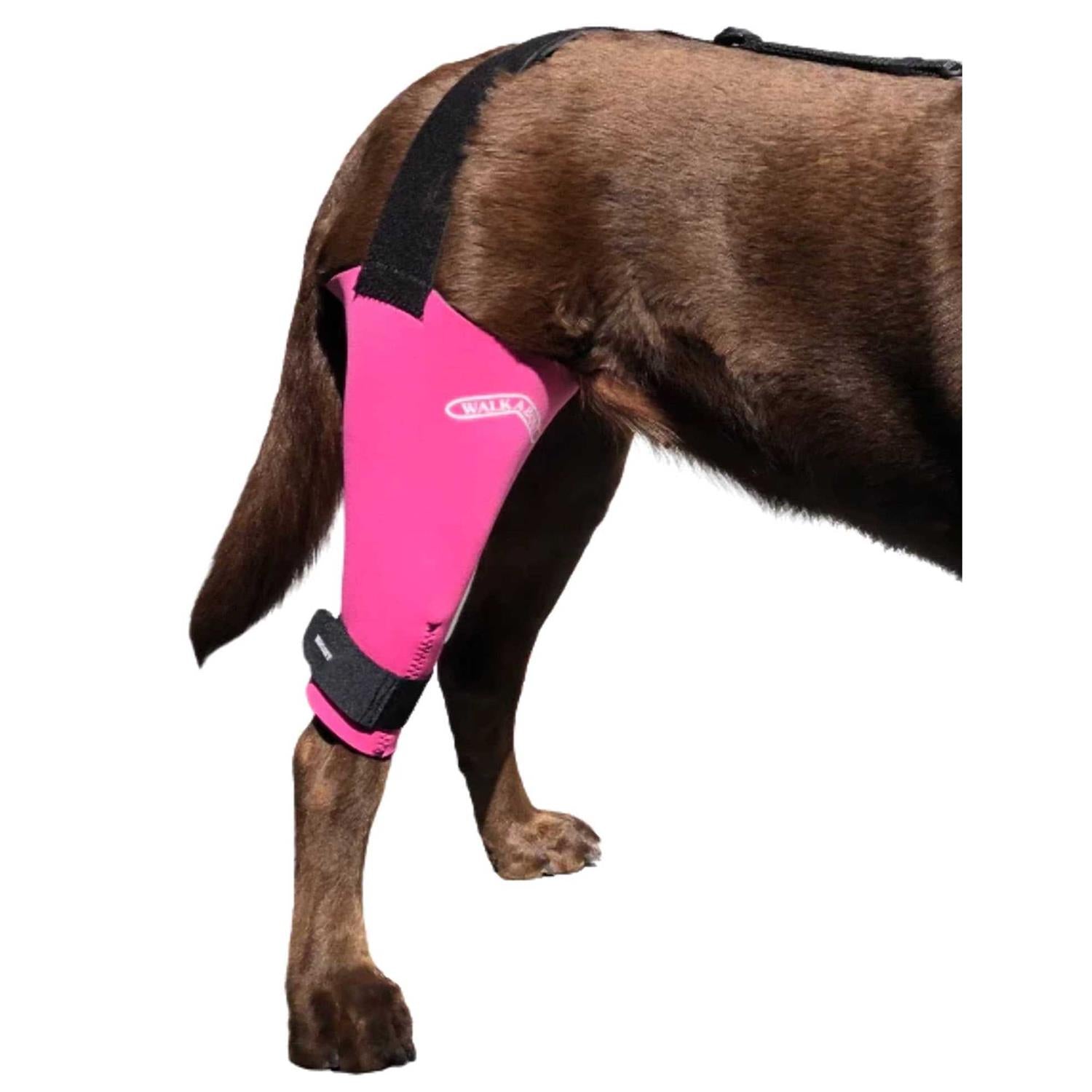 Dog & Cat Knee Brace Z2269