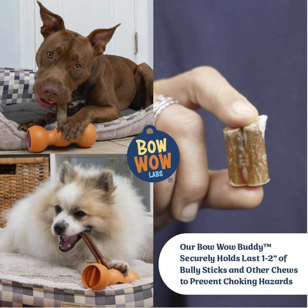 Bully Buddy Bully Stick Holder Starter Kit S809
