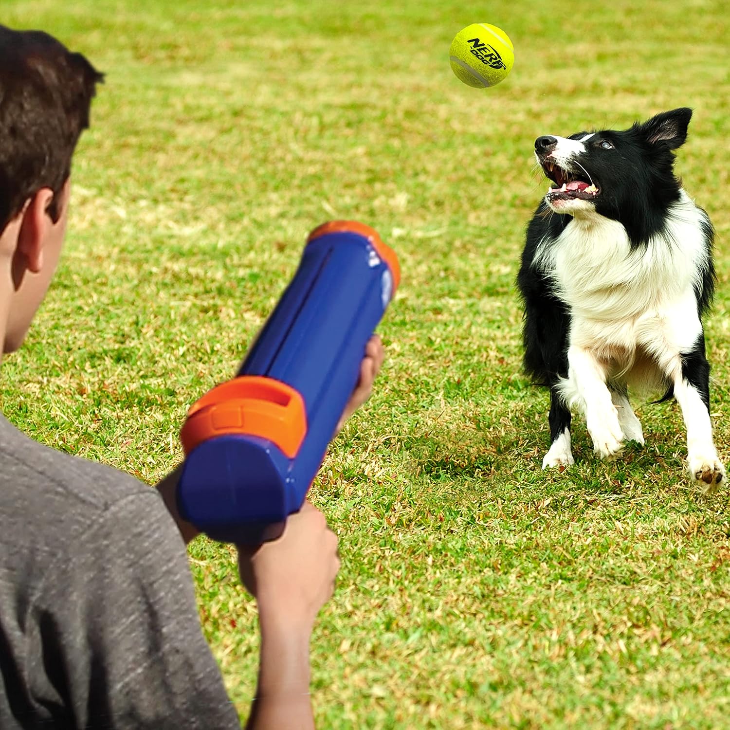 Tennis Ball Blaster Dog Toy N419022