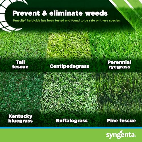 8 oz Liquid Weed Killer for Lawns Q2812