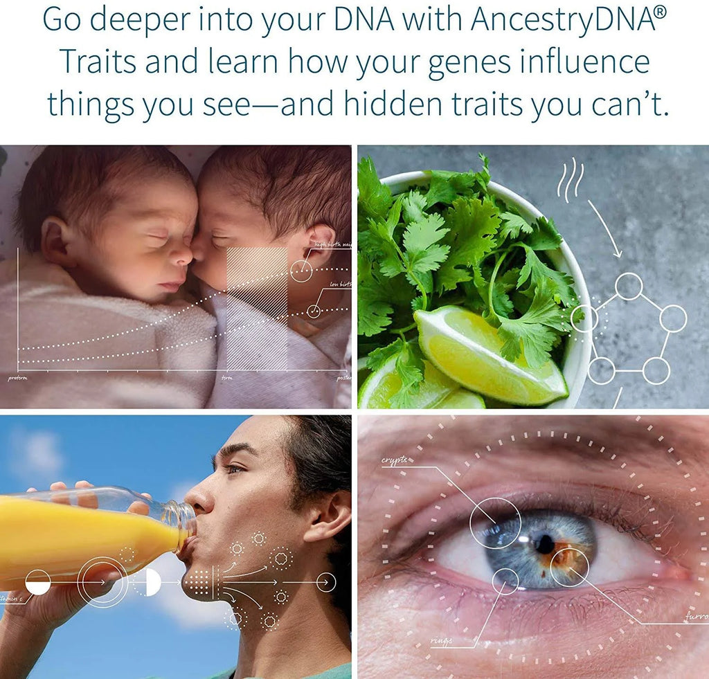 Genetic Ethnicity + Traits Test V501097