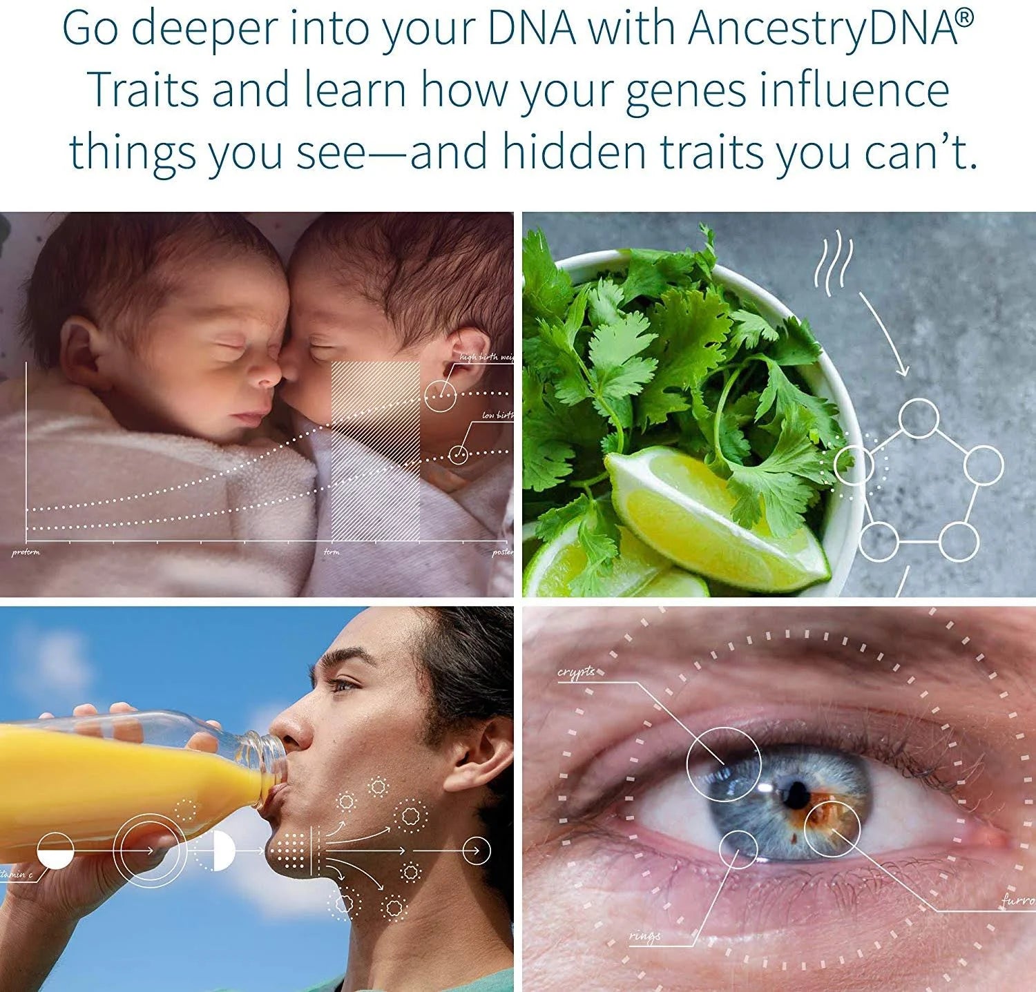 Genetic Ethnicity + Traits Test V501097