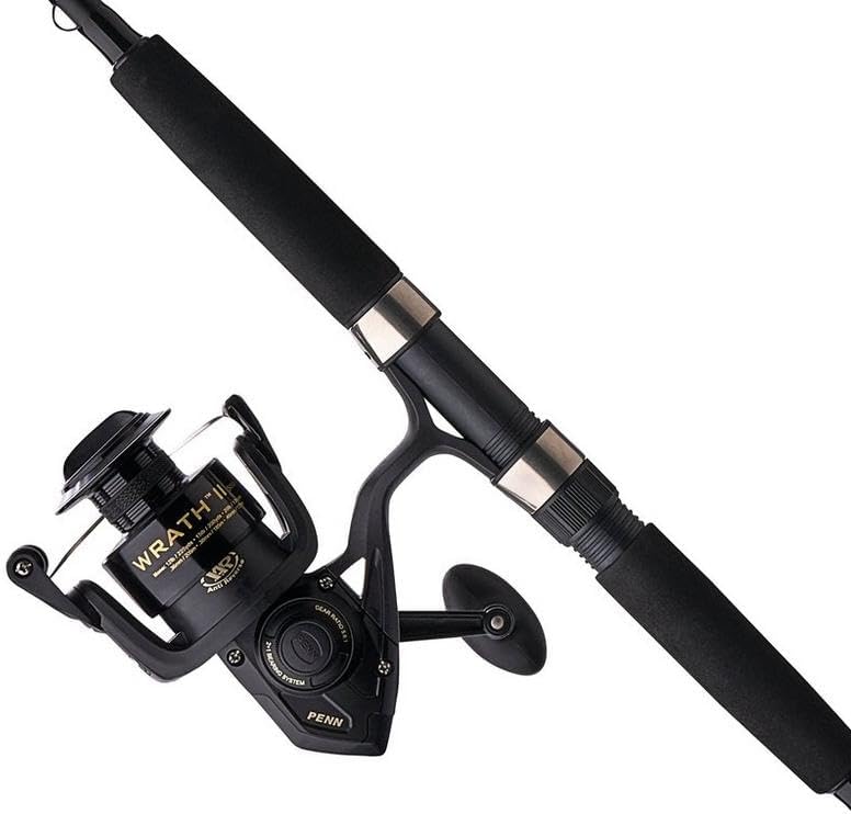 Spinning Reel and Fishing Rod Combo C985693