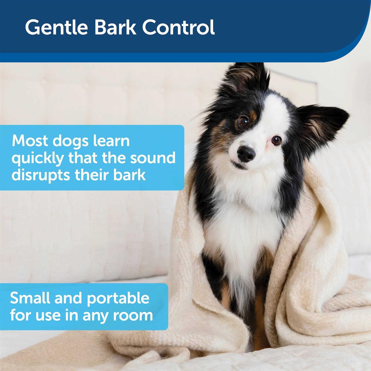 Indoor Bark Control K530