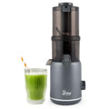 Juicer Q4982