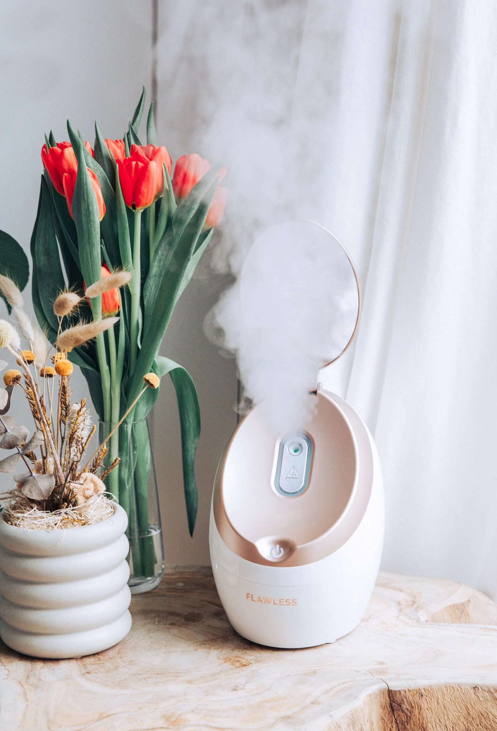 Facial Steamer T22385