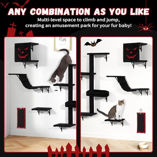 Black Cat Wall Shelves Set of 5 N717216