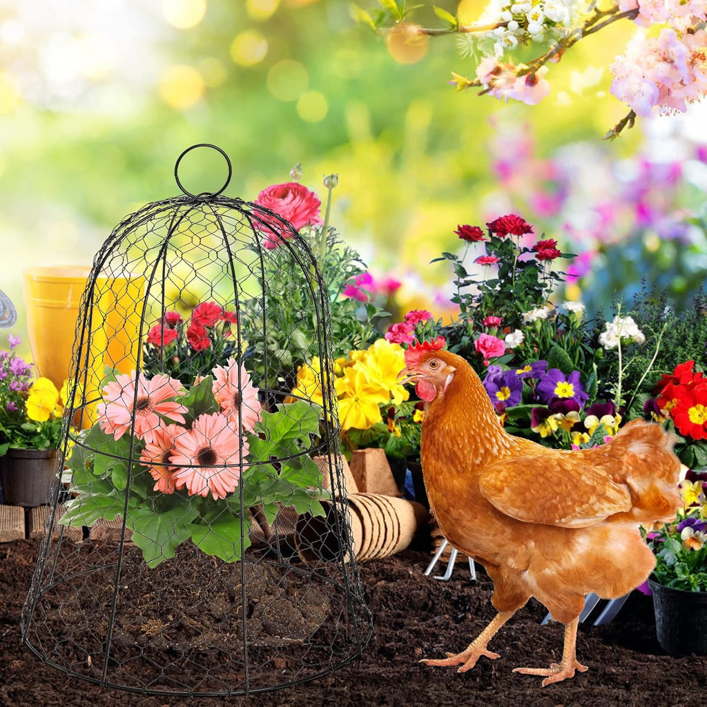 Black Metal Garden Cloche 5 Pack K526948