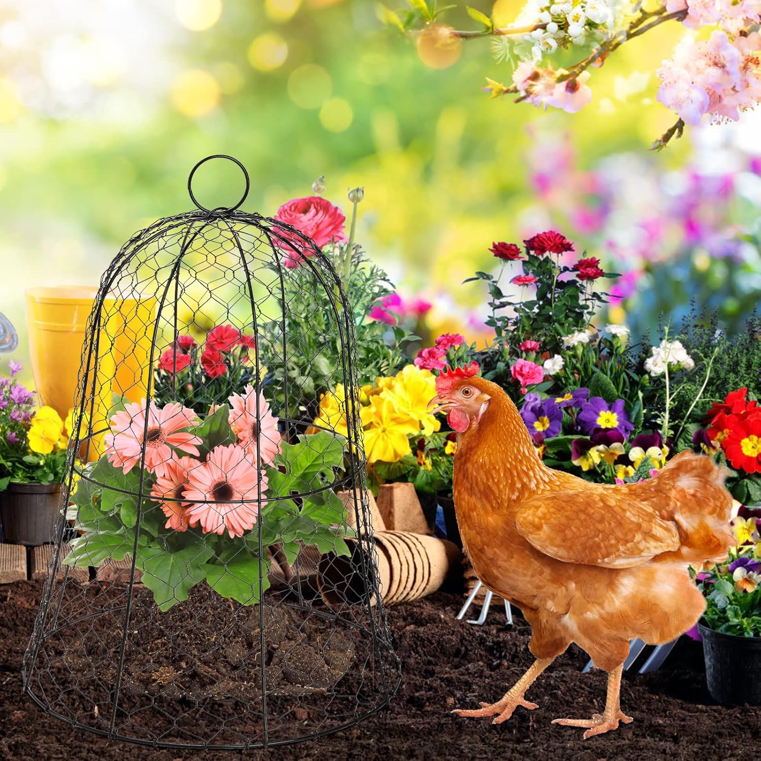 Black Metal Garden Cloche 5 Pack K526948