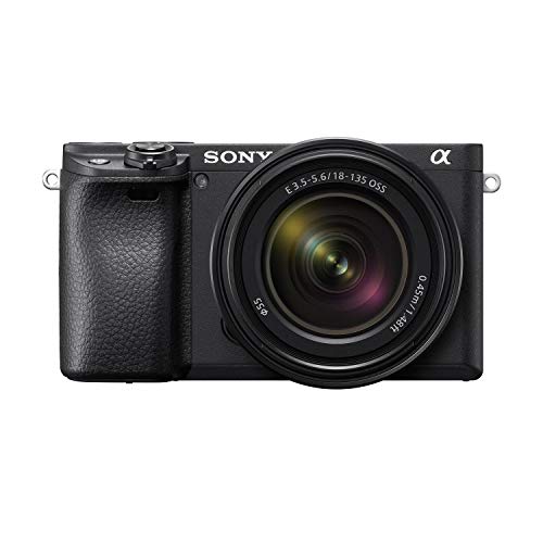Compact APS-C Interchangeable Lens Digital Camera with 16-50mm Lens, Black R4619