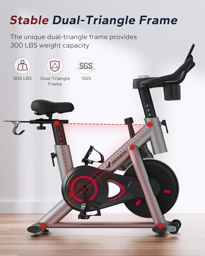 Exercise Bike with 300lbs Weight Capacity L125