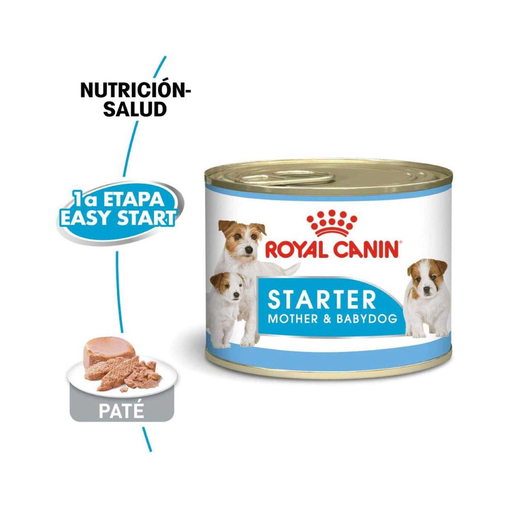 Starter Mousse in Sauce Dog Food V411704