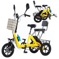 14 Inch Folding Adult Electric Tricycle with Detachable Battery J718