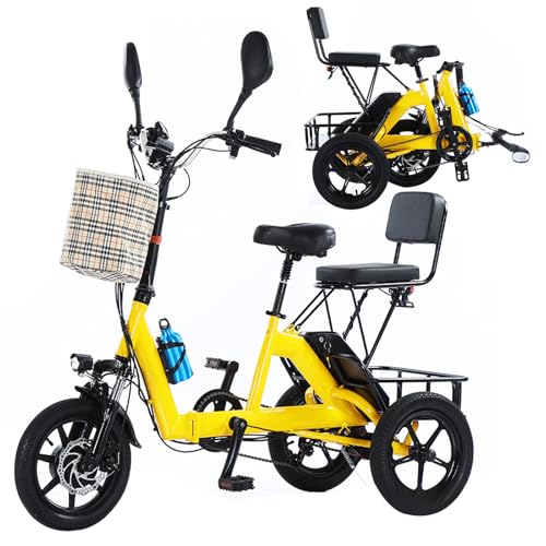14 Inch Folding Adult Electric Tricycle with Detachable Battery J718