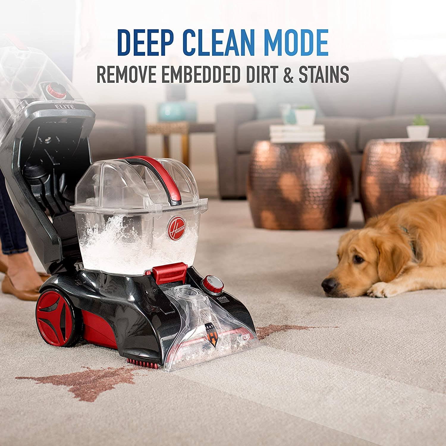 Upright Pet Carpet Cleaner M483