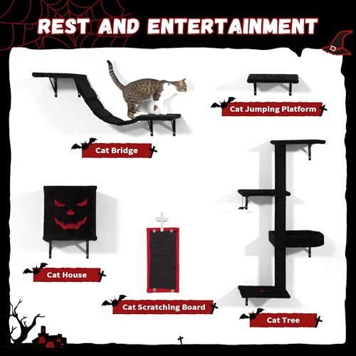 Black Cat Wall Shelves Set of 5 N717216
