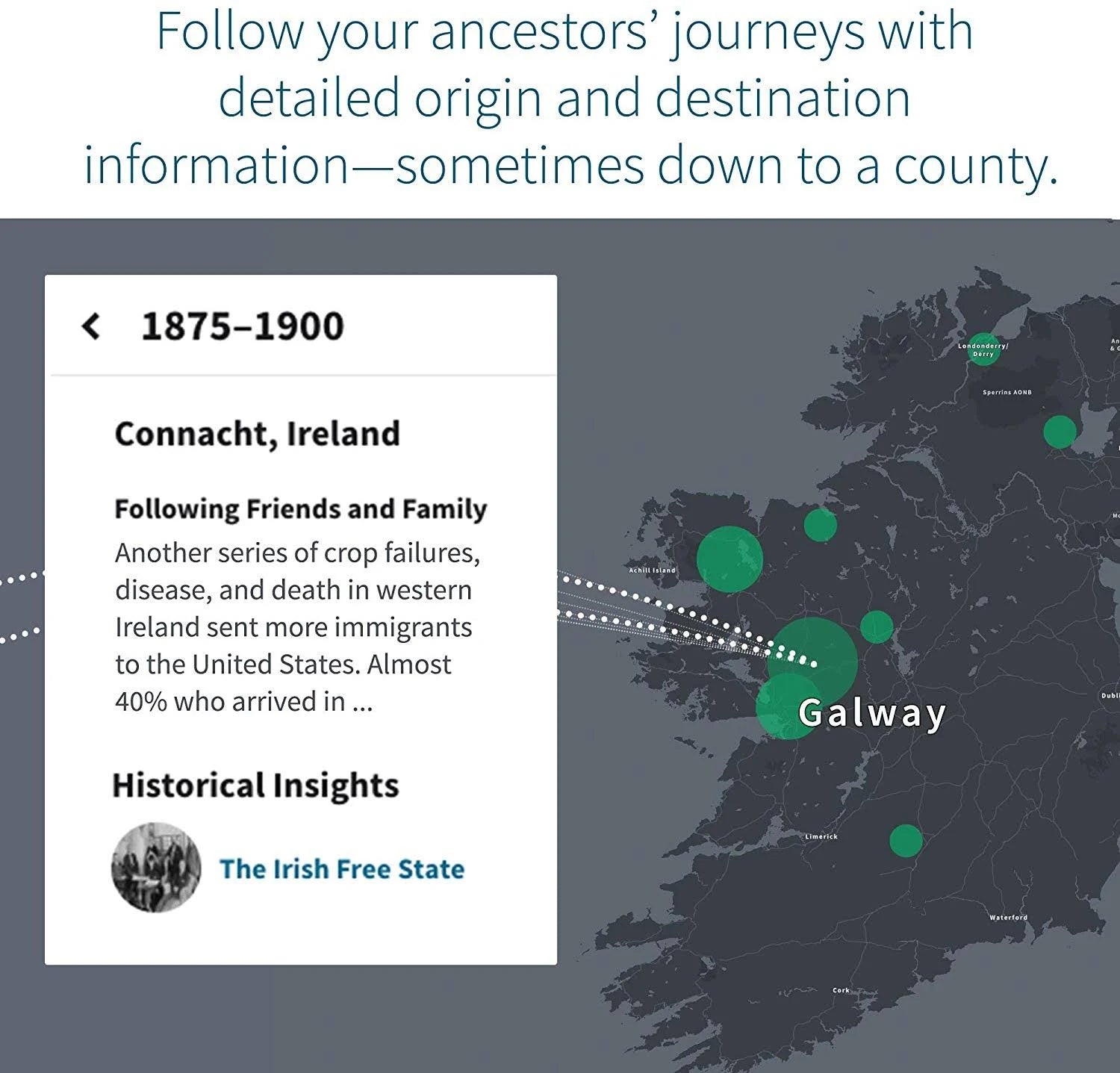 Genetic Ethnicity + Traits Test V501097