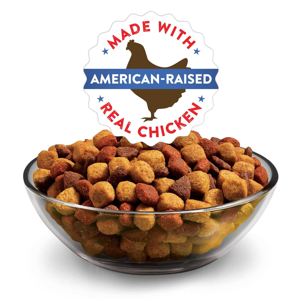 Dry Dog Food Z42478