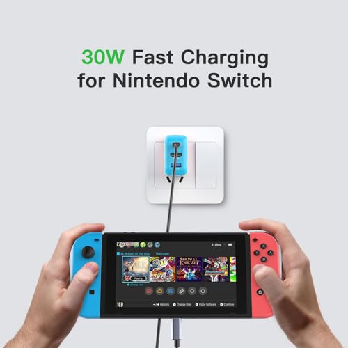 Portable TV Docking Station for Nintendo Switch with 4K@60Hz HDMI F96753