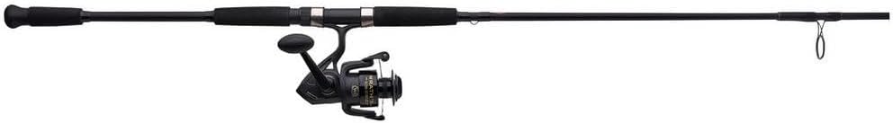 Spinning Reel and Fishing Rod Combo C985693
