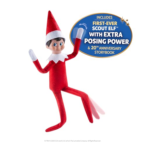 Boy with Blue Eyes Posable Christmas Elf and Storybook P24277