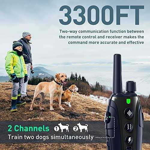 Dog Shock Collar with Flashing Light P62850
