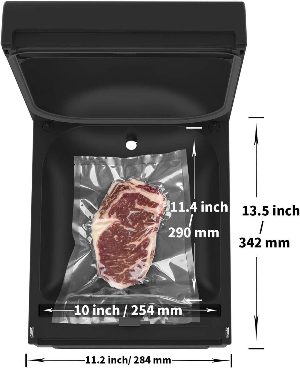 Chamber Vacuum Sealer F163