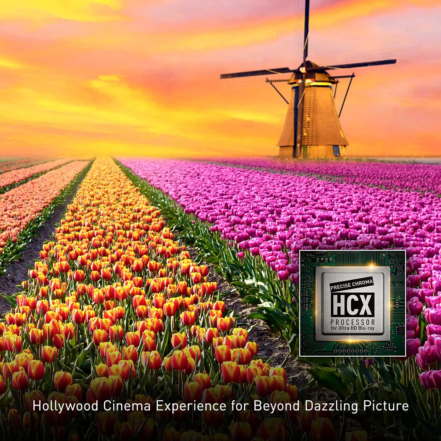 4K Blu Ray Player with Dolby Vision and HDR10+ Ultra HD Premium Video Playback Z52904