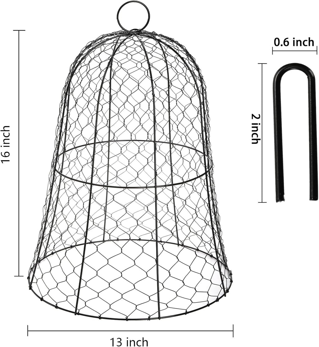 Black Metal Garden Cloche 5 Pack K526948