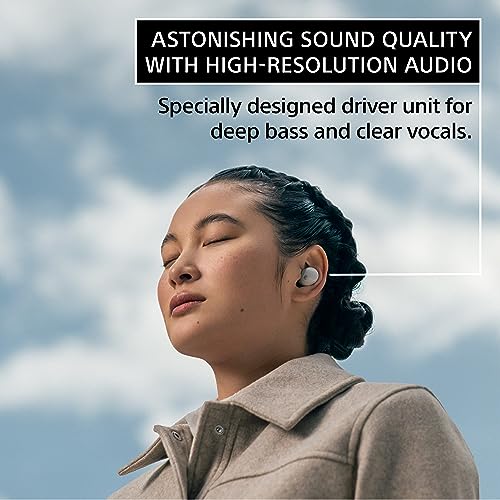 Wireless Noise Canceling Earbuds (Used) T89690