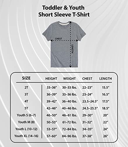 Toddler and Youth Short Sleeve Graphic T-Shirt H208725